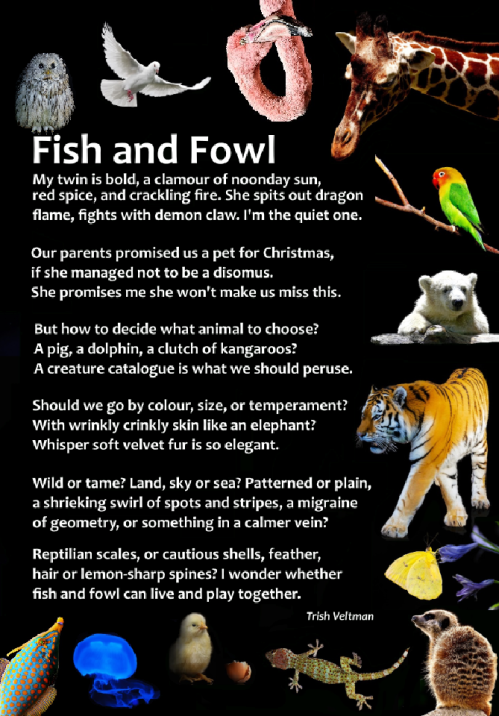 fish&amp;fowl